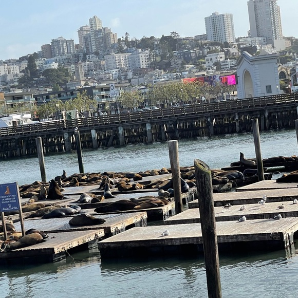 Meet your Posher, Christine - Picture 7 of 7